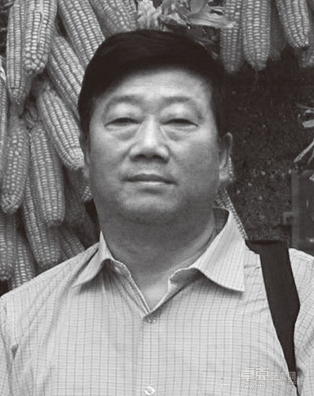 巴秋