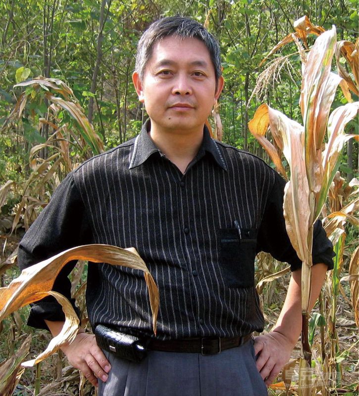 张丽华