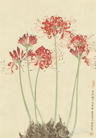 本草-立秋  喻慧