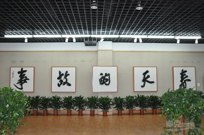 春天的故事