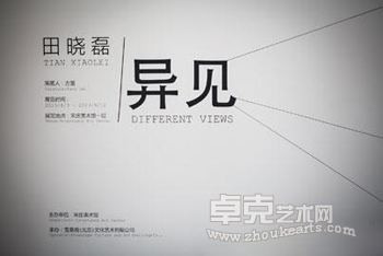 田晓磊个展---异见