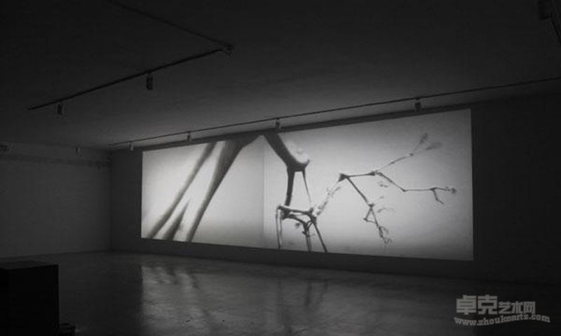 田晓磊作品