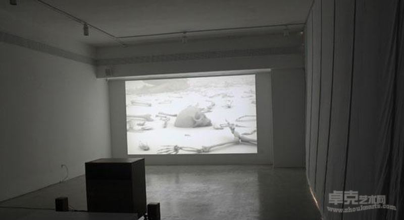 田晓磊作品