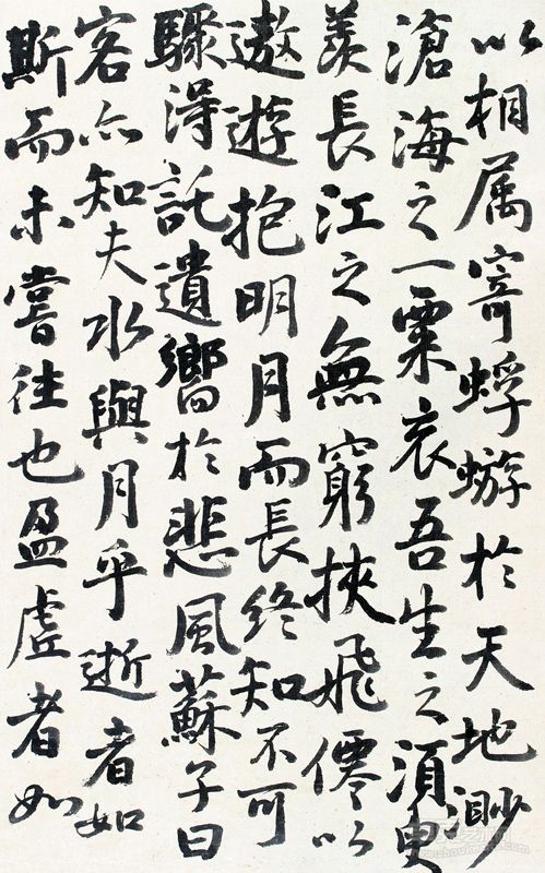 作品