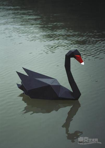《Black Swan》  徐喆 120x85cm 2014年.jpg