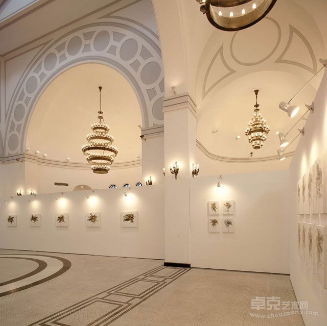 个展现场