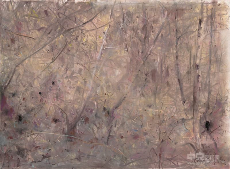 李强  风景2014no.2  55*75cm   色粉 2014