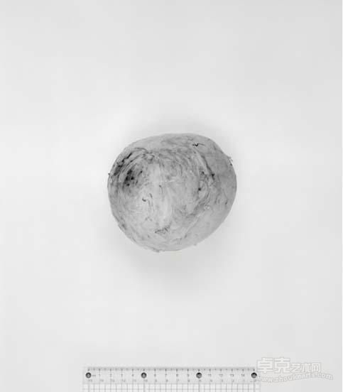 作品 6