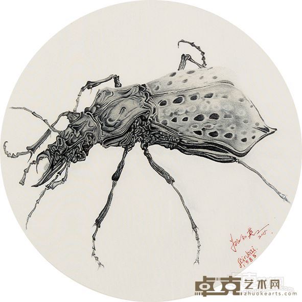 姚红英《昆虫记2》