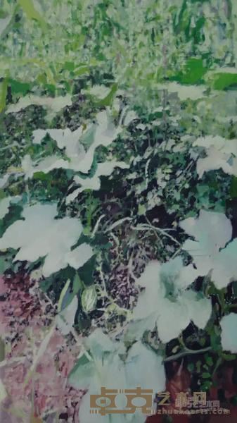 《南山瓜》 荀贵品 160x90cm 2015年