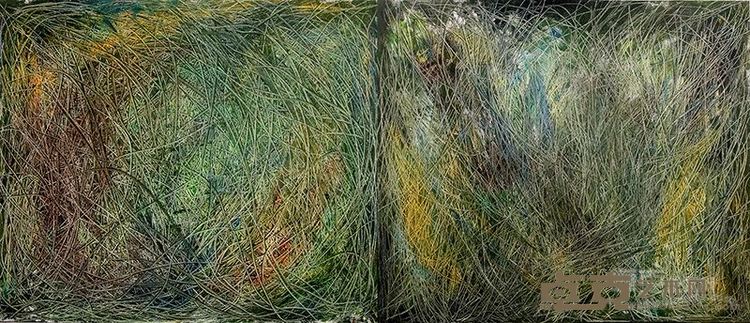 杨在昇 《乱系列-草地》布面油画 50×60cm×2