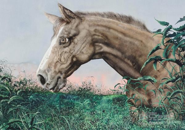 《草丛中的马》陈流，81cm×112cm
