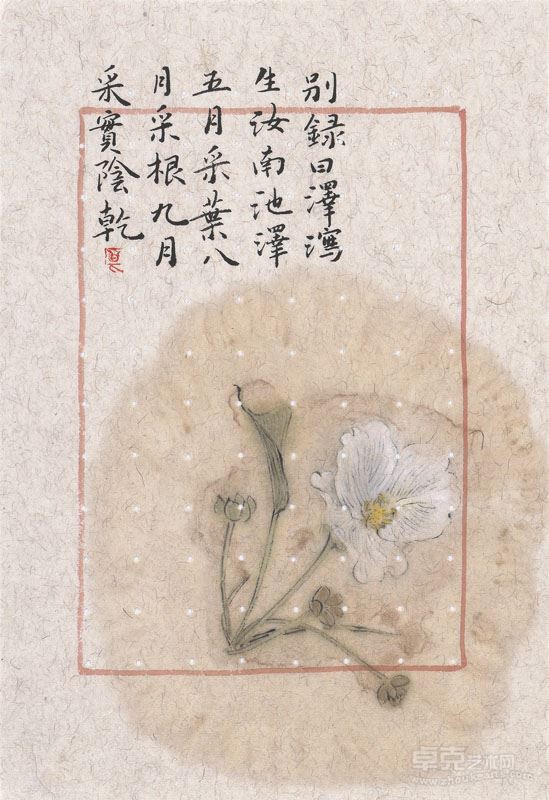 章燕紫 六味地黄丸