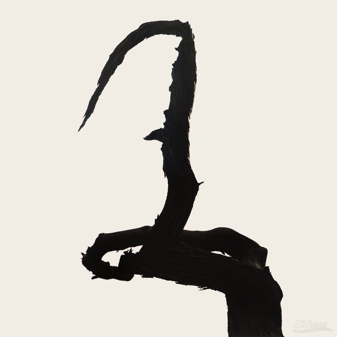 perch_1_021