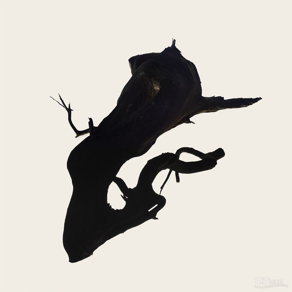 perch_1_020
