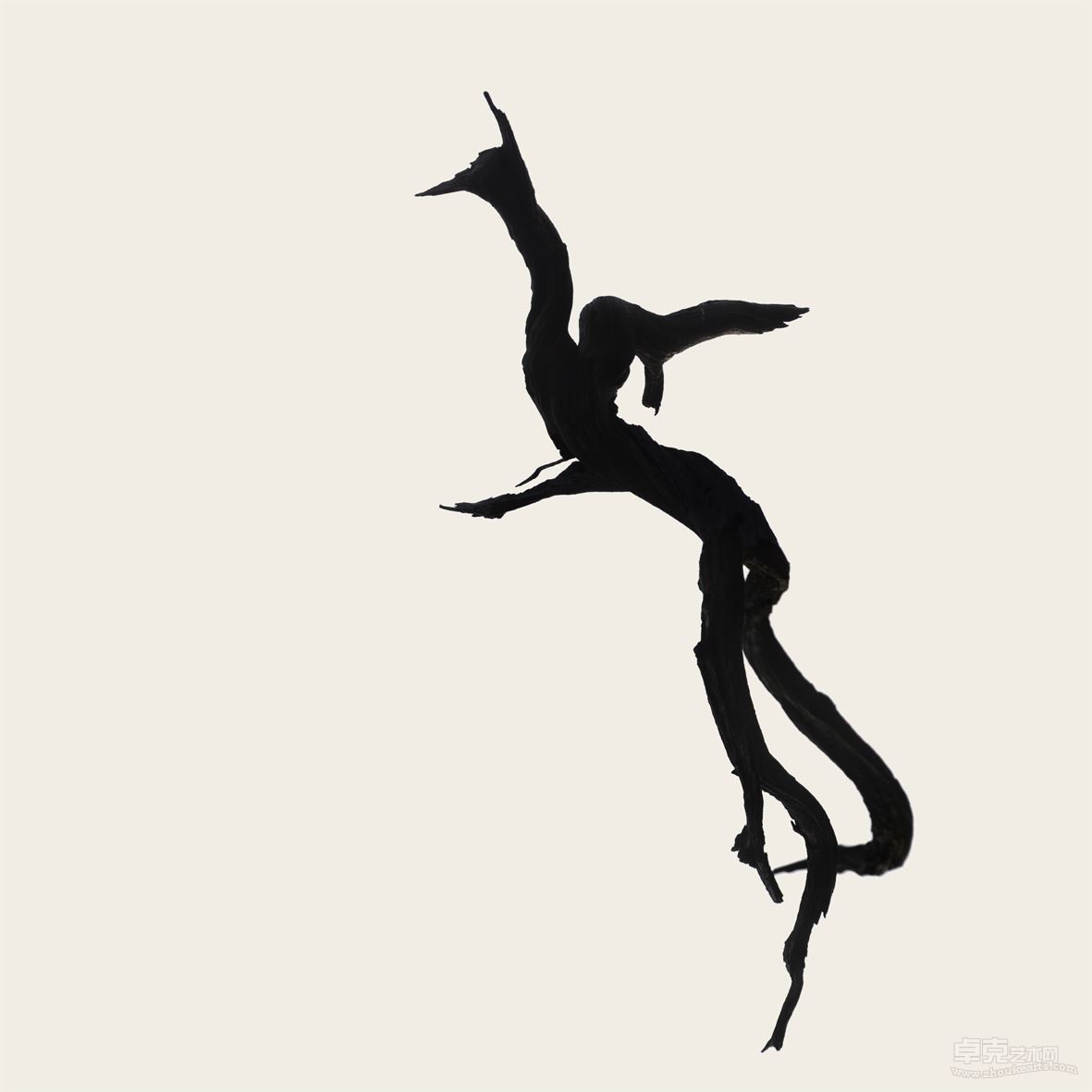 perch_1_019