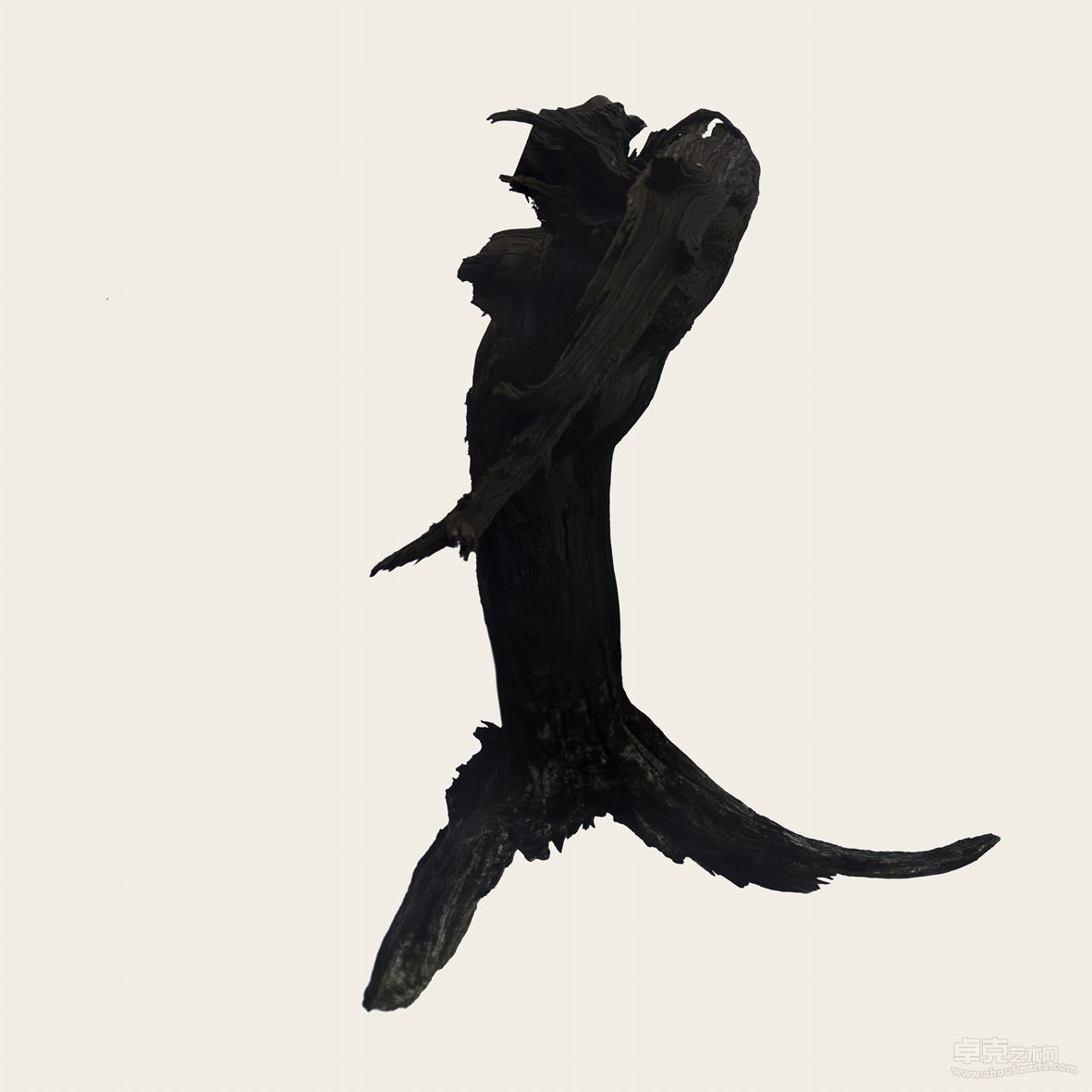 perch_1_015