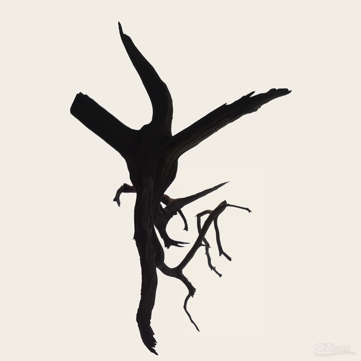 perch_1_013