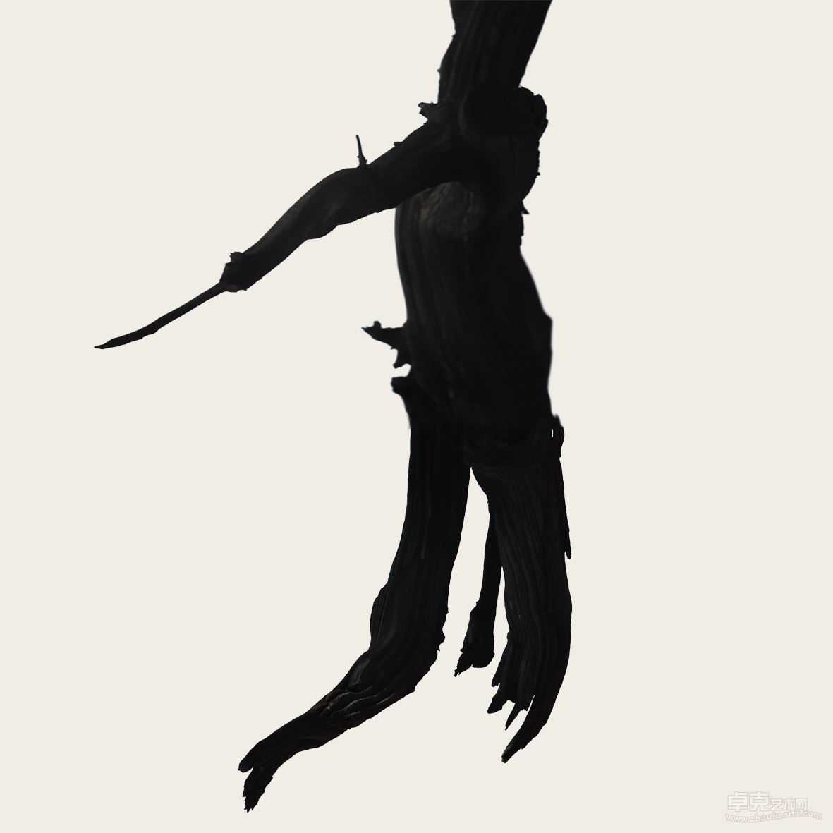 perch_1_008