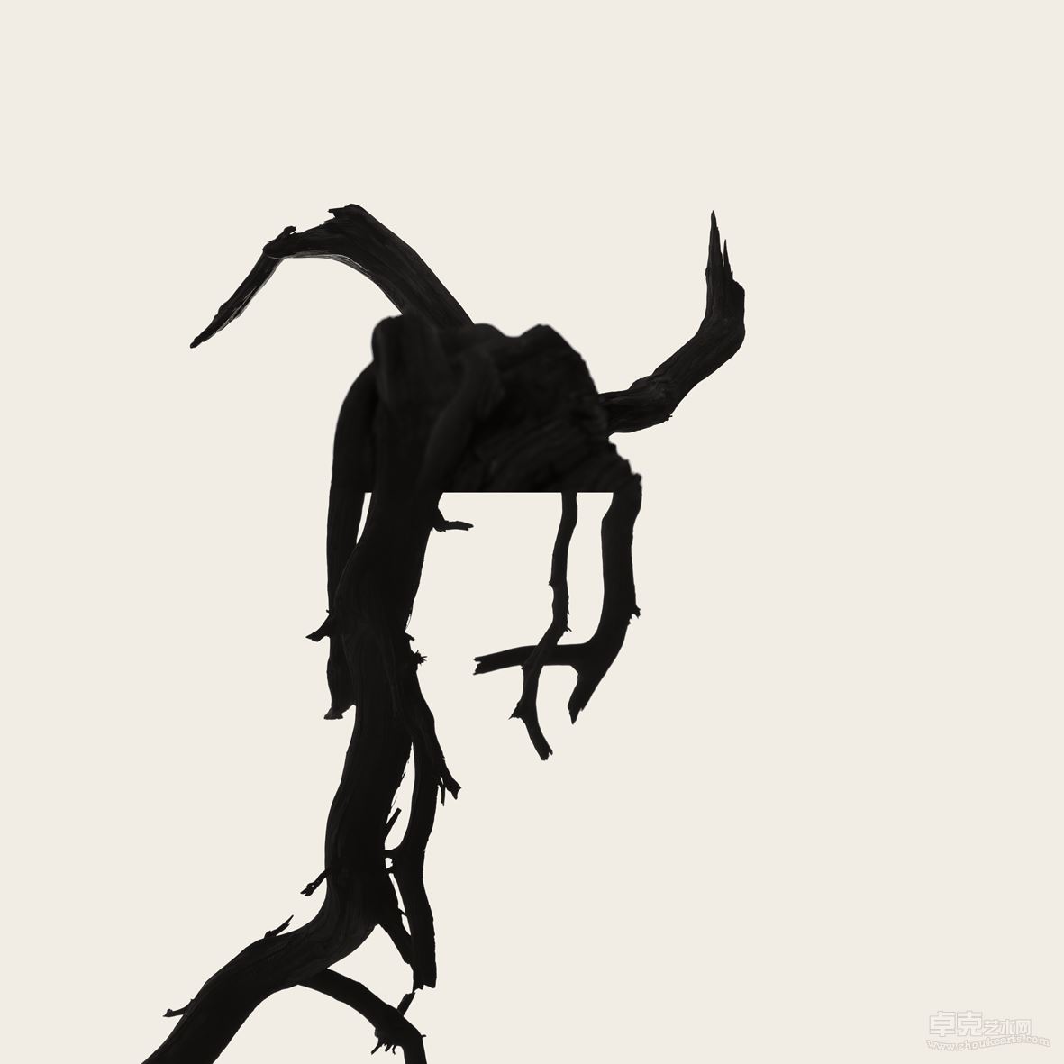 perch_1_006