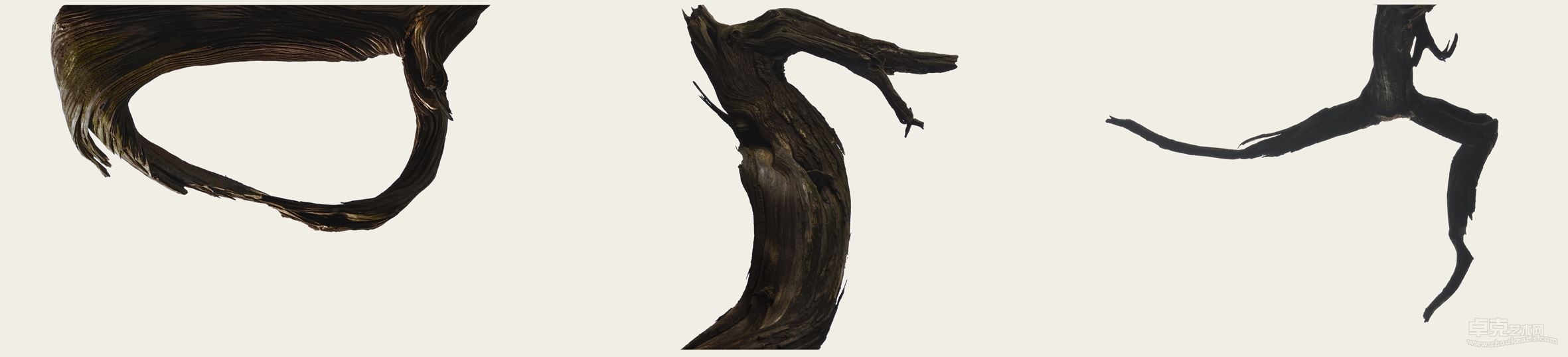 perch_3_001