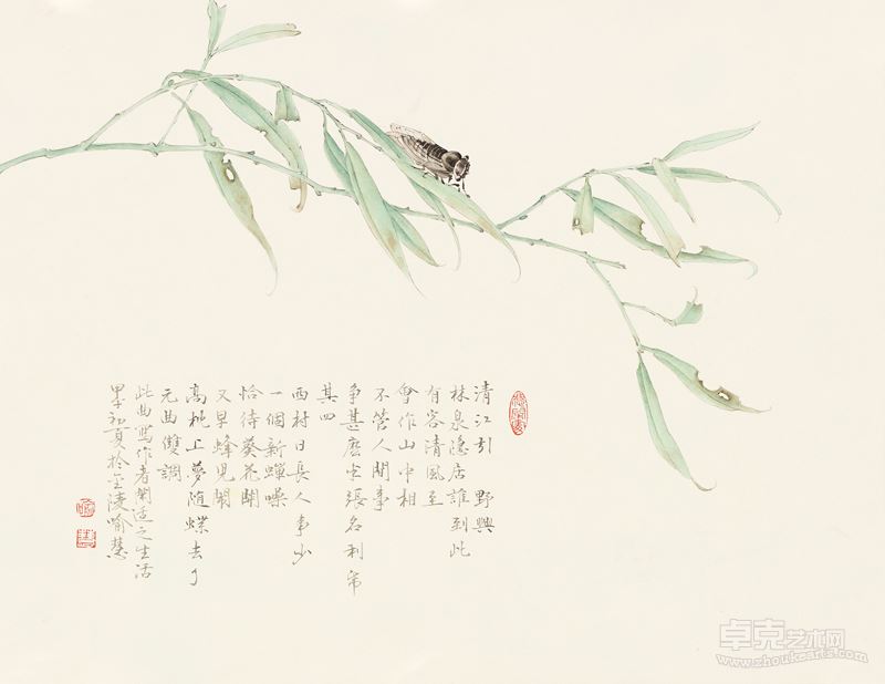 喻慧花卉写生之一