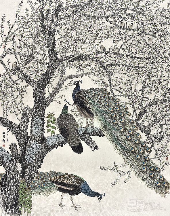 香雪