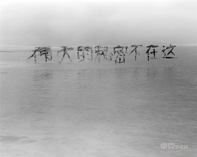 参展作品