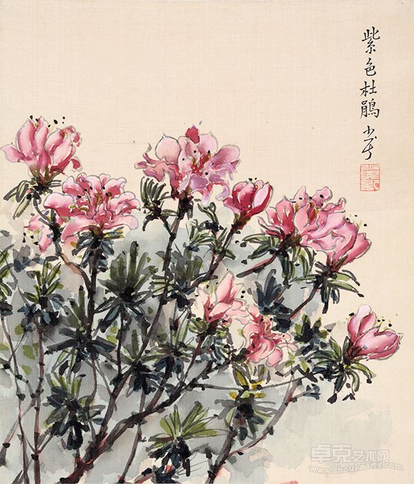 花卉（紫色杜鹃）