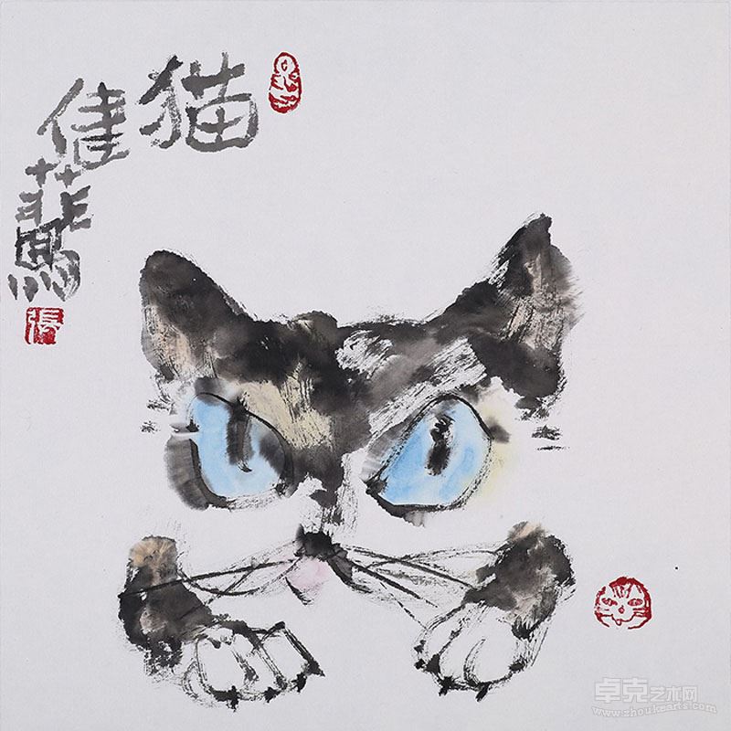 张健菲 猫15 29cmx29cm 纸本设色 2014