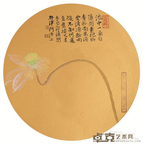 莲系列 杨海涛  金卡 2015