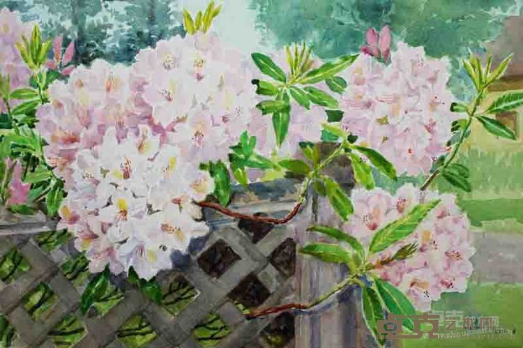 高志《粉绣球》 38x58cm 纸本水彩2012年