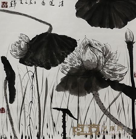 岛子 荷花 80×69cm 国画