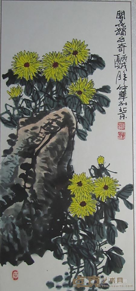 陈仲华 菊