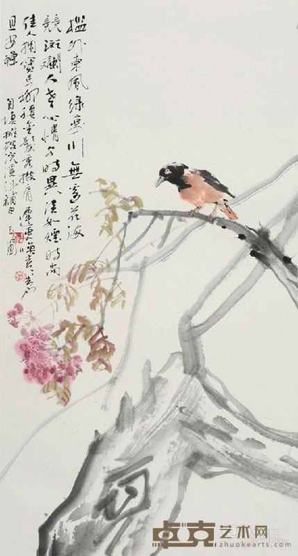 相思鸟