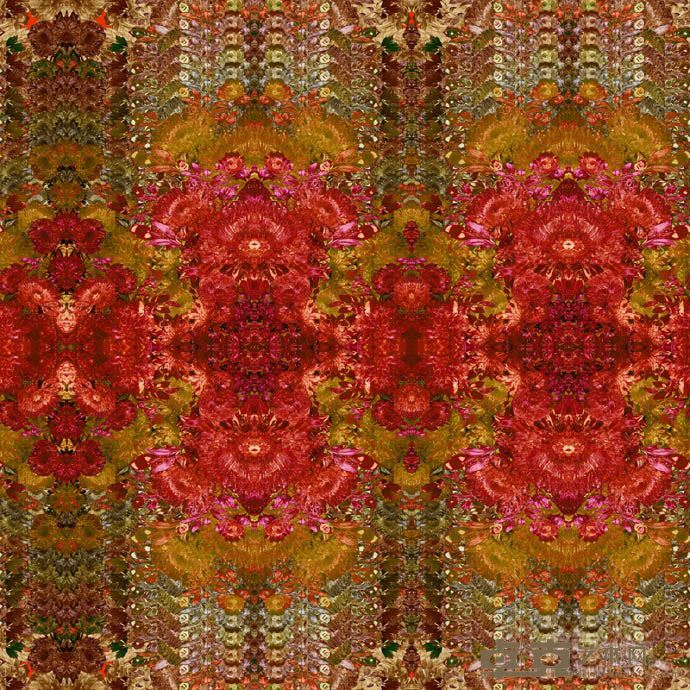 展览作品3