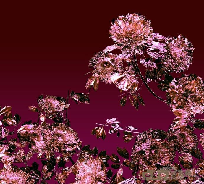 展览作品1