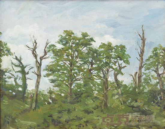 张蕾 南春1 40cmX50cm