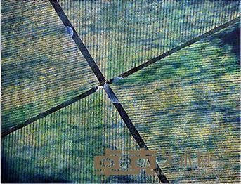 有洞6 赖岳宏 112*145.5cm 2015