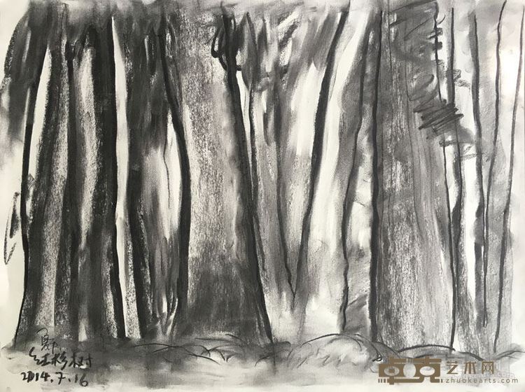 《红杉树》之五45.5x60cm纸本炭笔 2014年