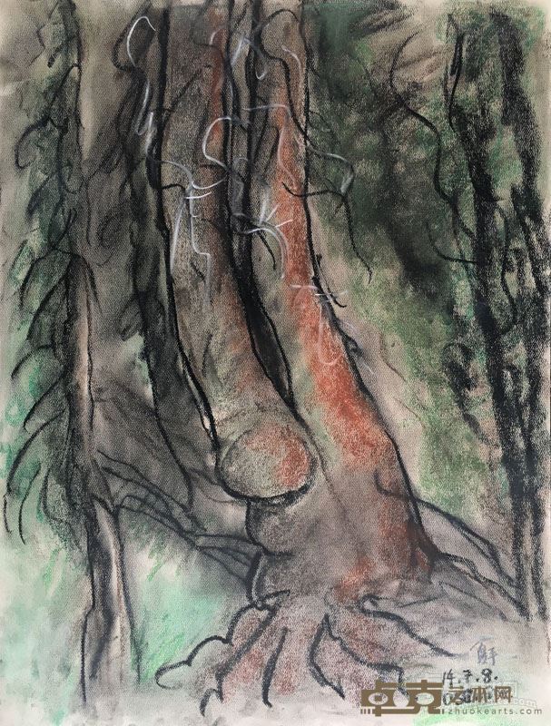 《红杉树》之三45,5cmX60cm 纸本炭笔 2014年