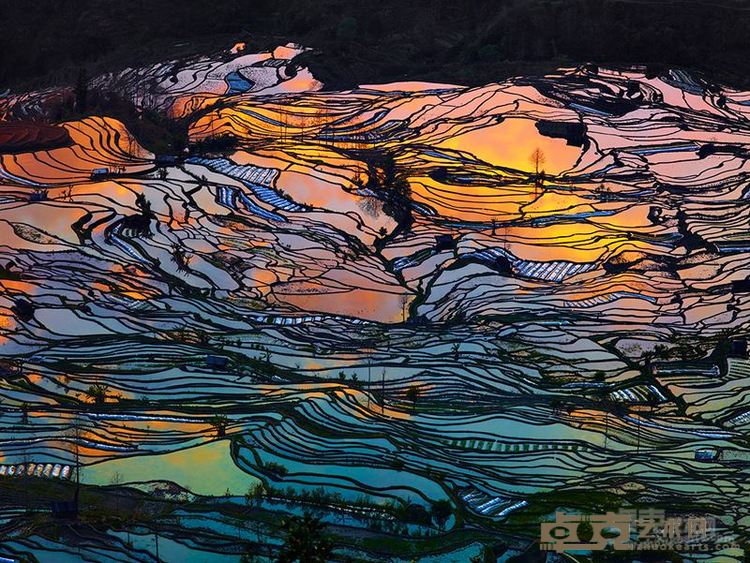 上帝的调色板