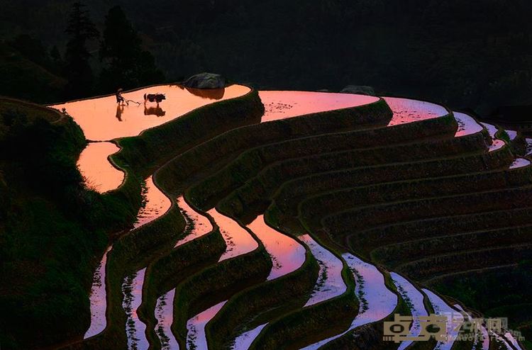 日落梯田