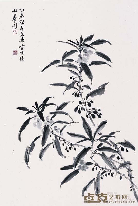 花鸟写生一 68X46cm 纸本水墨 文爽 2016