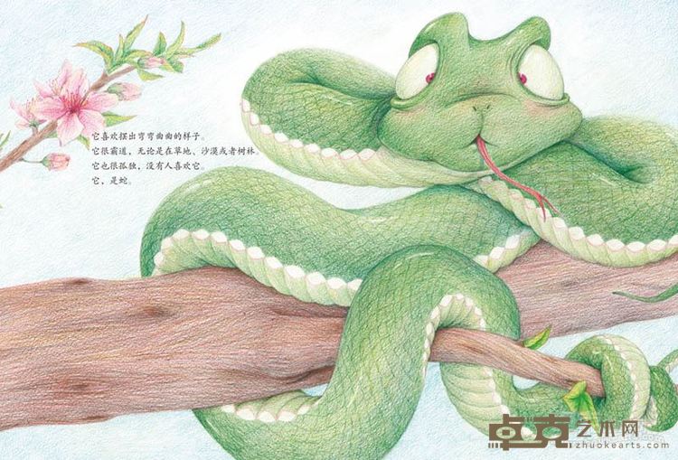 周尤  《扭来扭去的蛇（5）》  57×42cm  彩铅  2015年